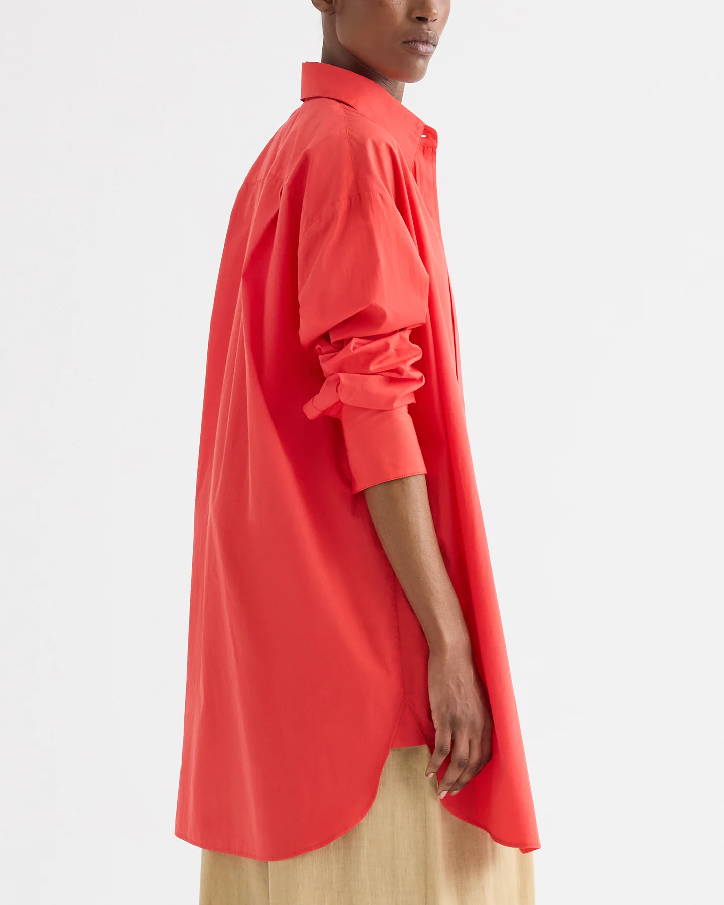 Big Joe Shirt Dress in Superfine Cotton - Image 6